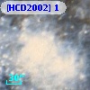 [HCD2002]   1