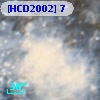 [HCD2002]   7