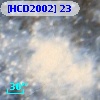 [HCD2002]  23