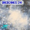 [HCD2002]  24
