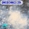 [HCD2002]  29