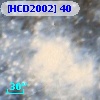 [HCD2002]  40