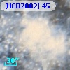 [HCD2002]  45