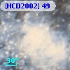 [HCD2002]  49