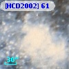 [HCD2002]  61
