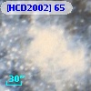 [HCD2002]  65