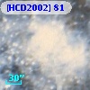 [HCD2002]  81