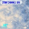 [TBF2006]  18