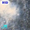 BSDL 2703