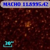 MACHO  11.8995.42
