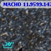 MACHO  11.9599.142