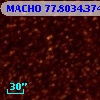 MACHO  77.8034.374