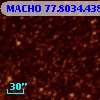 MACHO  77.8034.438