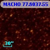 MACHO  77.8037.55