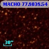 MACHO  77.8038.54