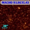 MACHO  81.8635.43