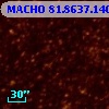 MACHO  81.8637.140