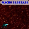 MACHO  81.8639.38