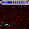 MACHO  81.8643.47