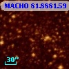 MACHO  81.8881.59