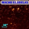 MACHO  81.8885.43