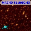 MACHO  81.9002.43