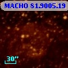 MACHO  81.9005.19