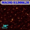MACHO  81.9006.20