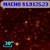 MACHO  81.9125.23