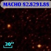 MACHO  82.8291.88