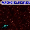 MACHO  82.8526.831
