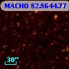 MACHO  82.8644.77