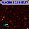 MACHO  82.8645.77