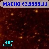 MACHO  82.8889.11