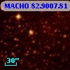 MACHO  82.9007.81