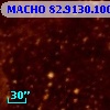 MACHO  82.9130.100