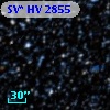 SV* HV  2855