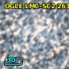 OGLE LMC-SC2 263498