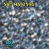 OGLE LMC-SC3 421504