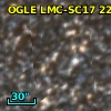 OGLE LMC-SC17 221134