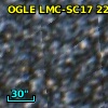 OGLE LMC-SC17 224169
