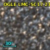 OGLE LMC-SC17 231021