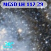 MGSD LH 117  29