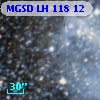 MGSD LH 118  12