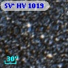 SV* HV  1019