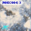 [MHD2004]   3