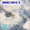 [MHD2004]   8