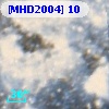[MHD2004]  10