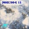 [MHD2004]  11