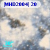 [MHD2004]  20